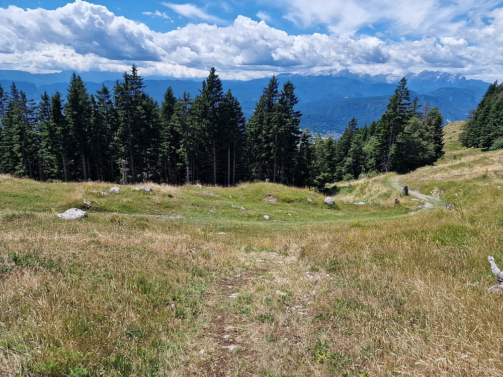 Slika je vidna v Google Chromu.