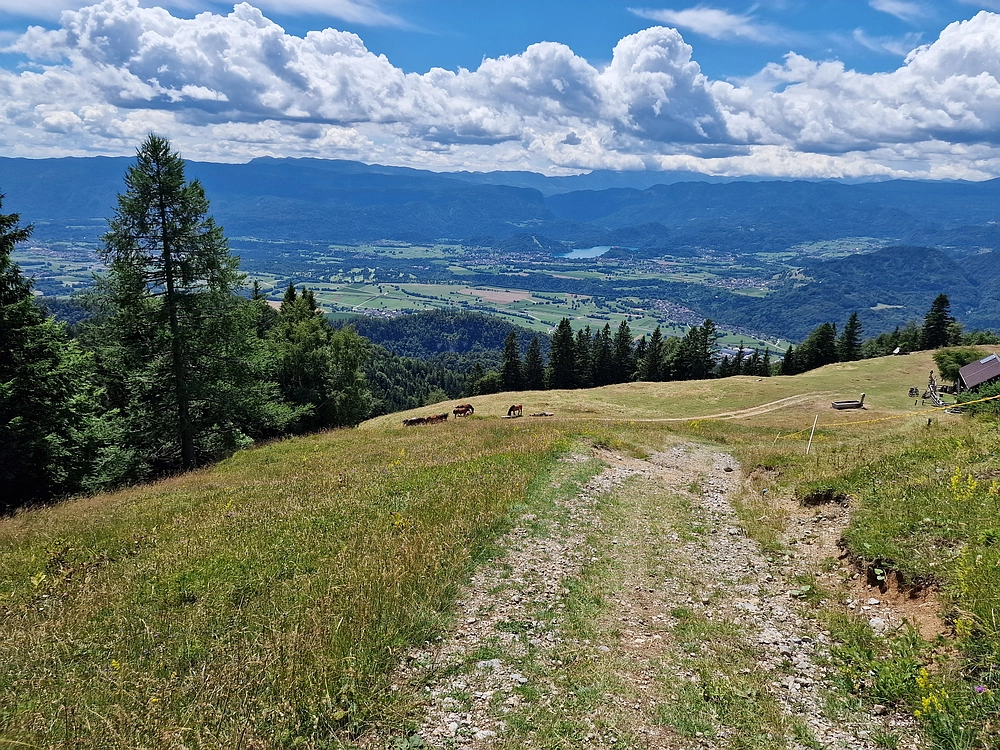 Slika je vidna v Google Chromu.
