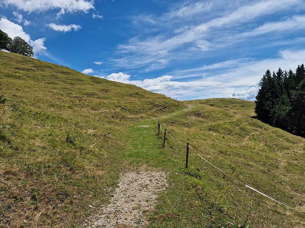 Slika je vidna v Google Chromu.