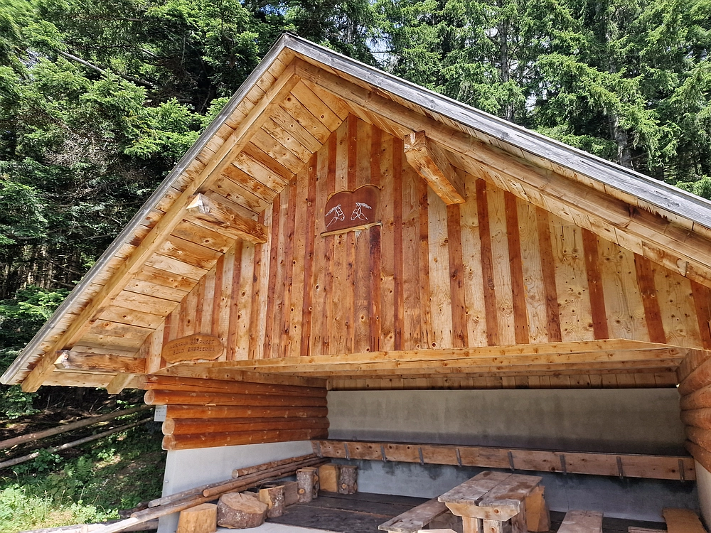 Slika je vidna v Google Chromu.