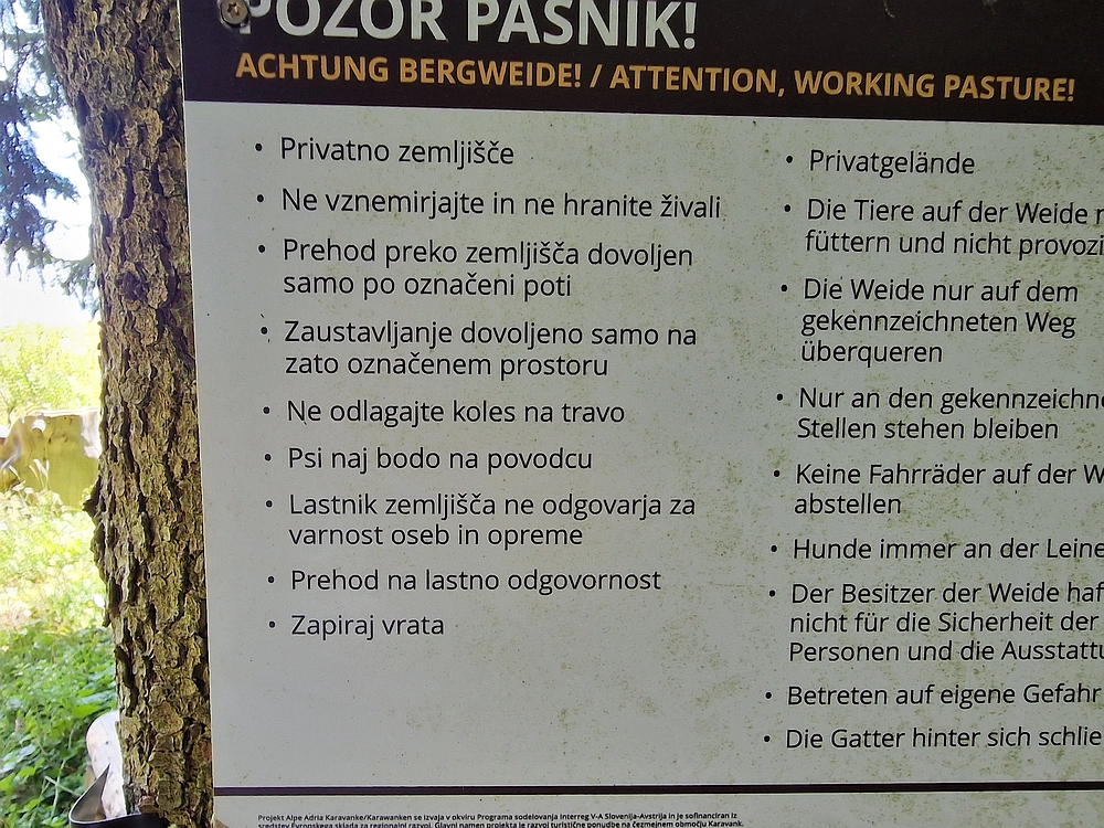 Slika je vidna v Google Chromu.