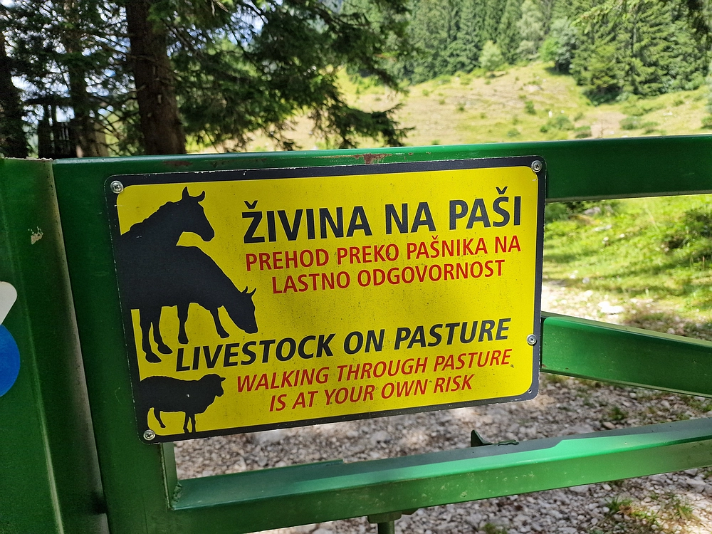 Slika je vidna v Google Chromu.