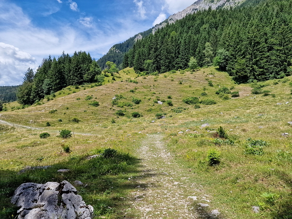 Slika je vidna v Google Chromu.