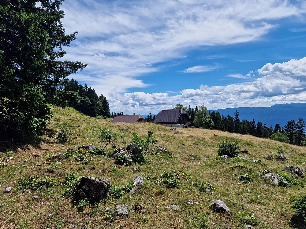 Slika je vidna v Google Chromu.