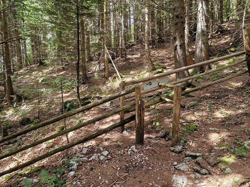 Slika je vidna v Google Chromu.