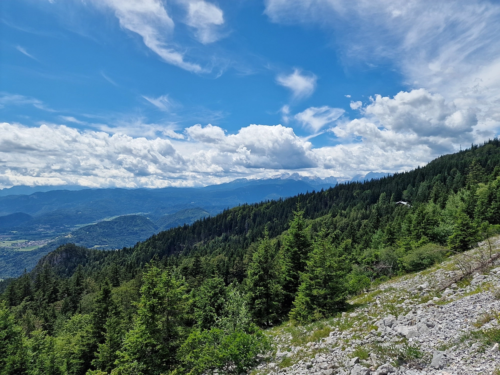 Slika je vidna v Google Chromu.