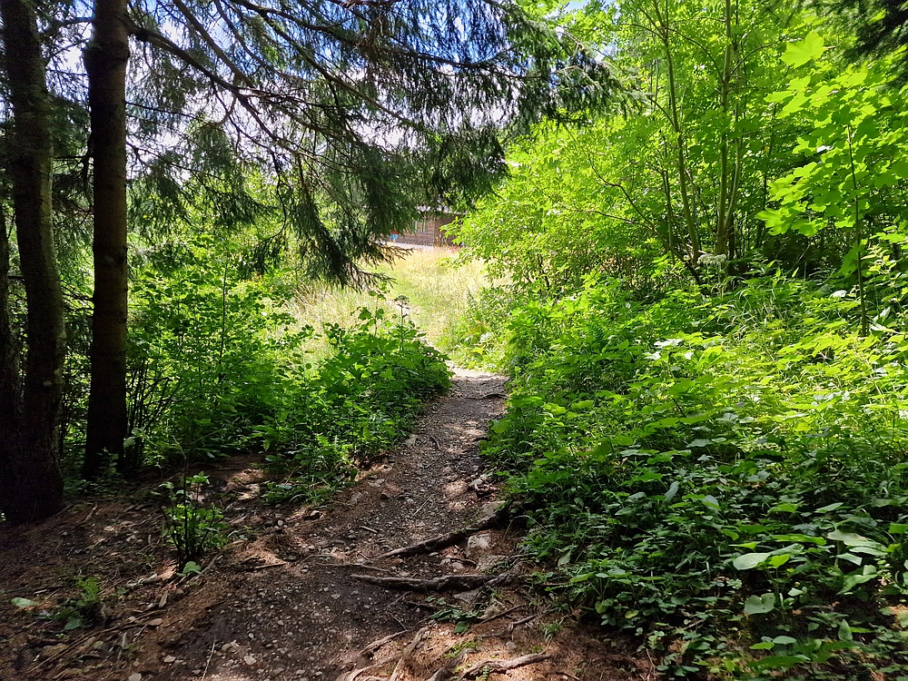 Slika je vidna v Google Chromu.