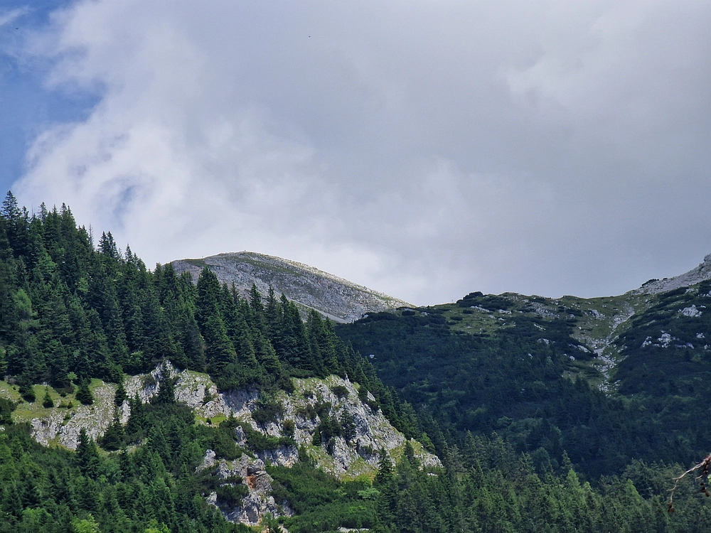 Slika je vidna v Google Chromu.