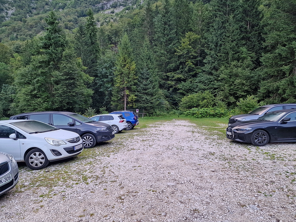 Slika je vidna v Google Chromu.