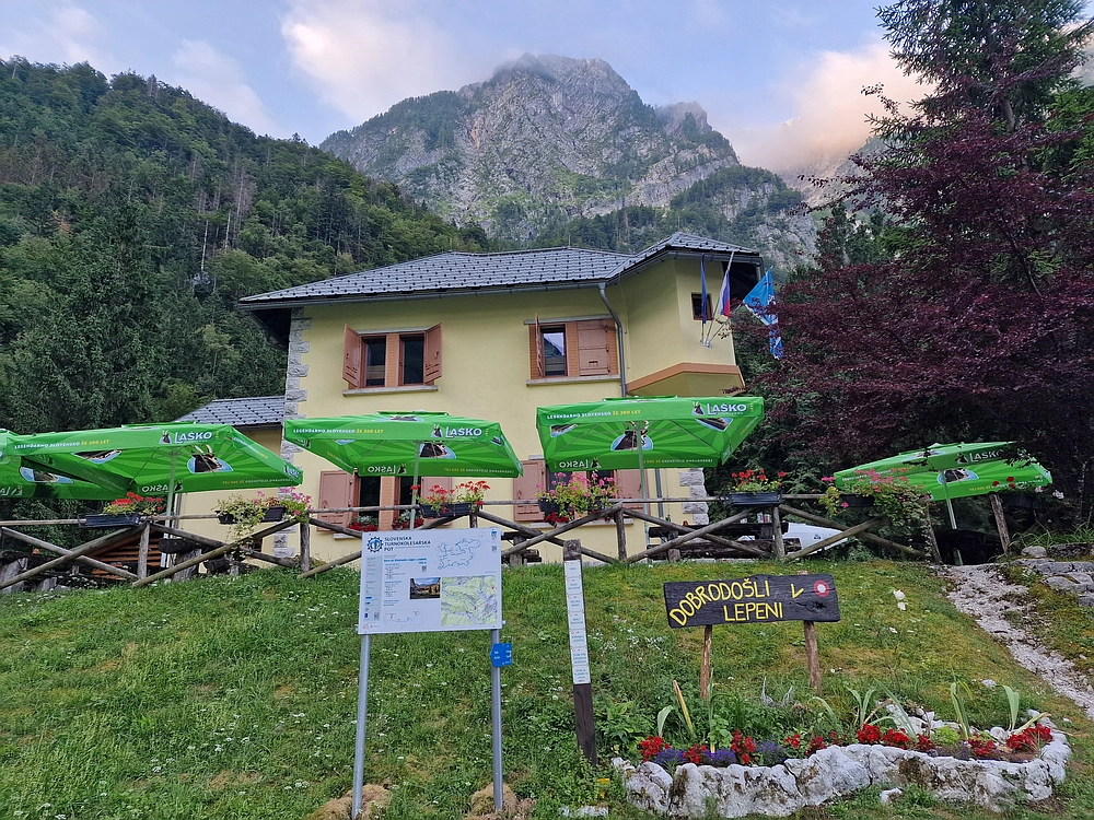 Slika je vidna v Google Chromu.