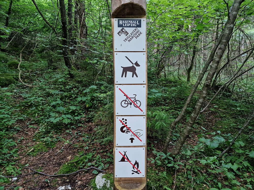 Slika je vidna v Google Chromu.