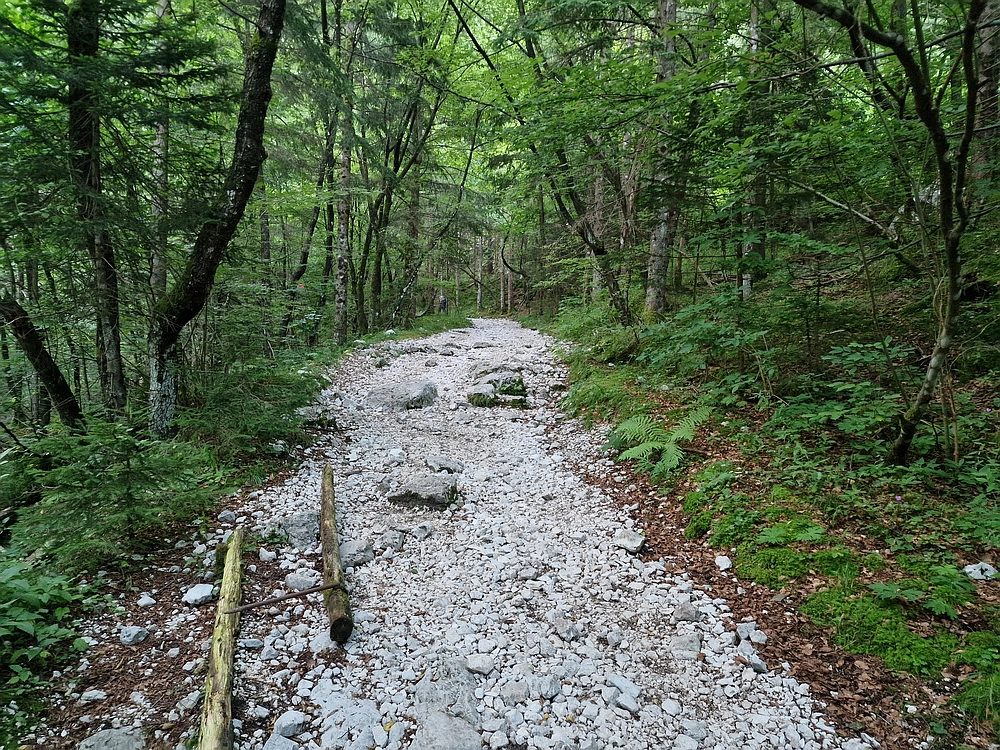 Slika je vidna v Google Chromu.