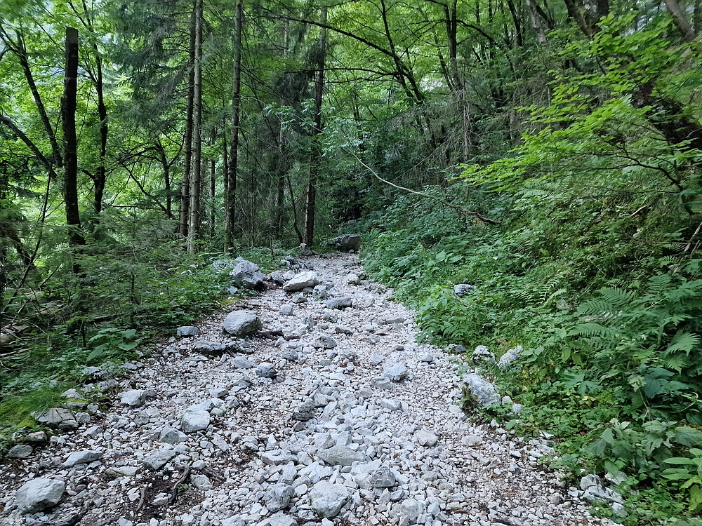 Slika je vidna v Google Chromu.