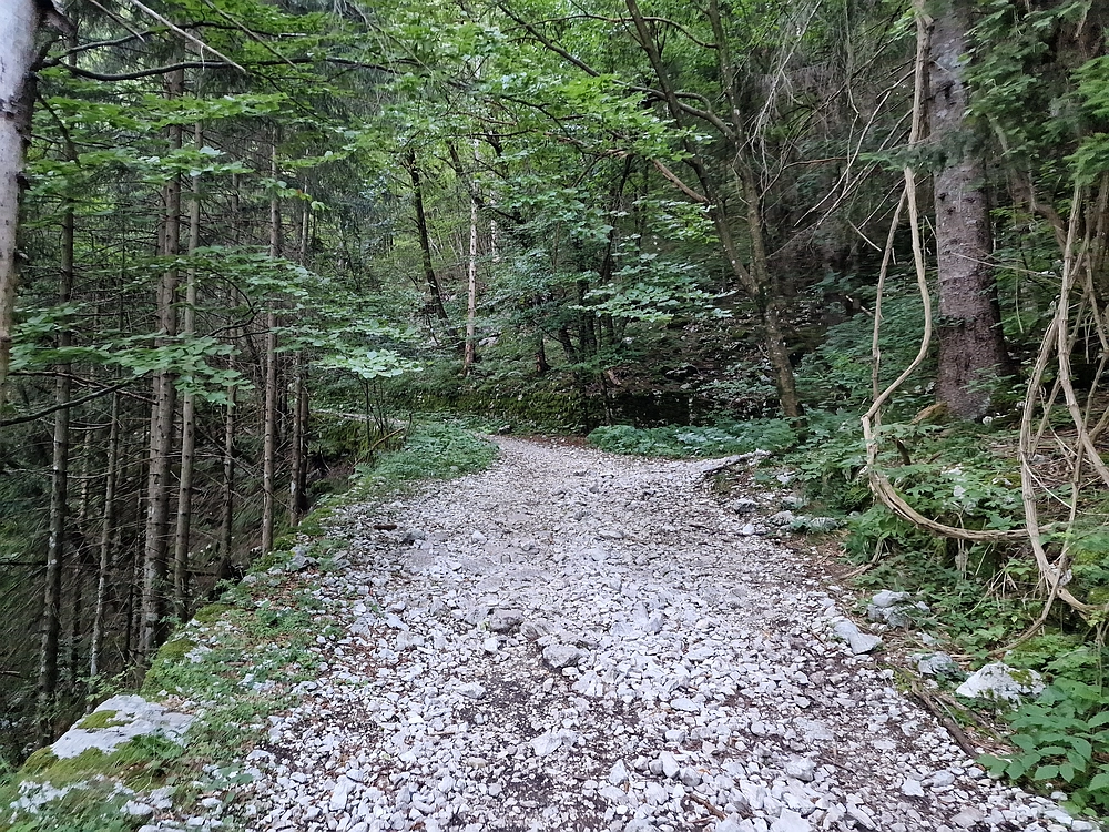 Slika je vidna v Google Chromu.