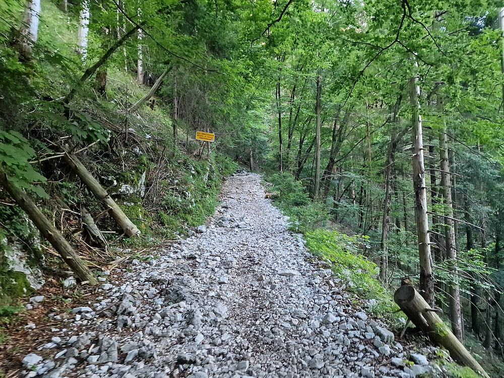 Slika je vidna v Google Chromu.