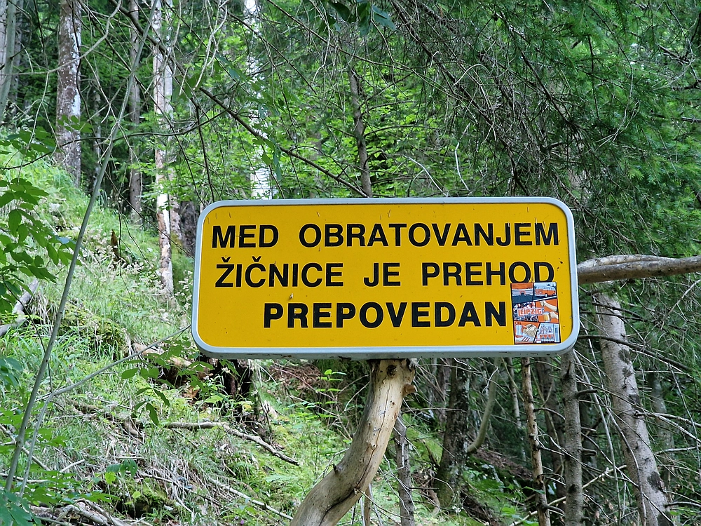 Slika je vidna v Google Chromu.