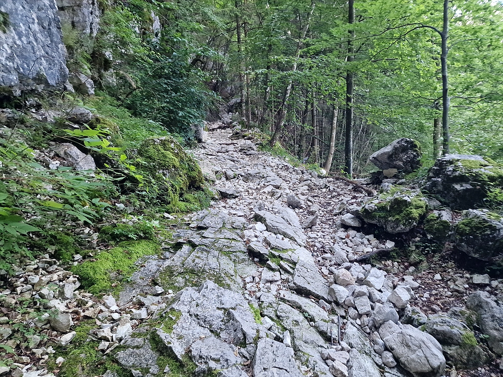 Slika je vidna v Google Chromu.