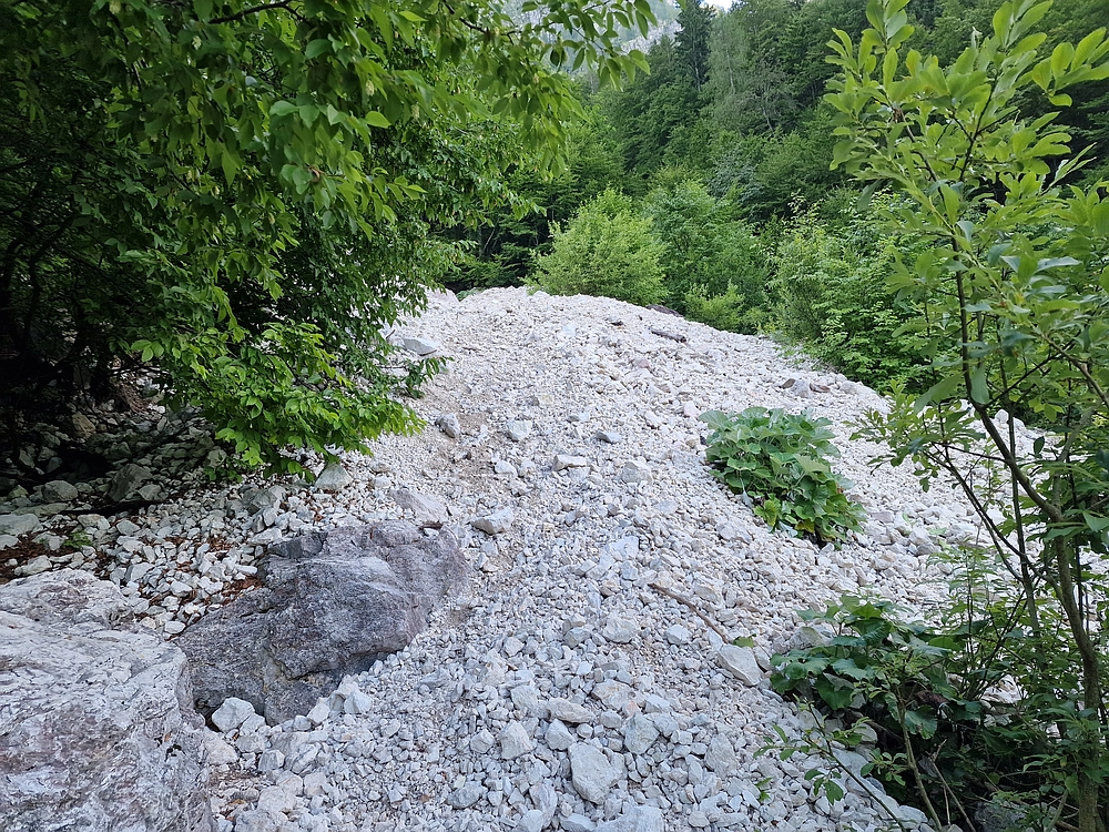 Slika je vidna v Google Chromu.