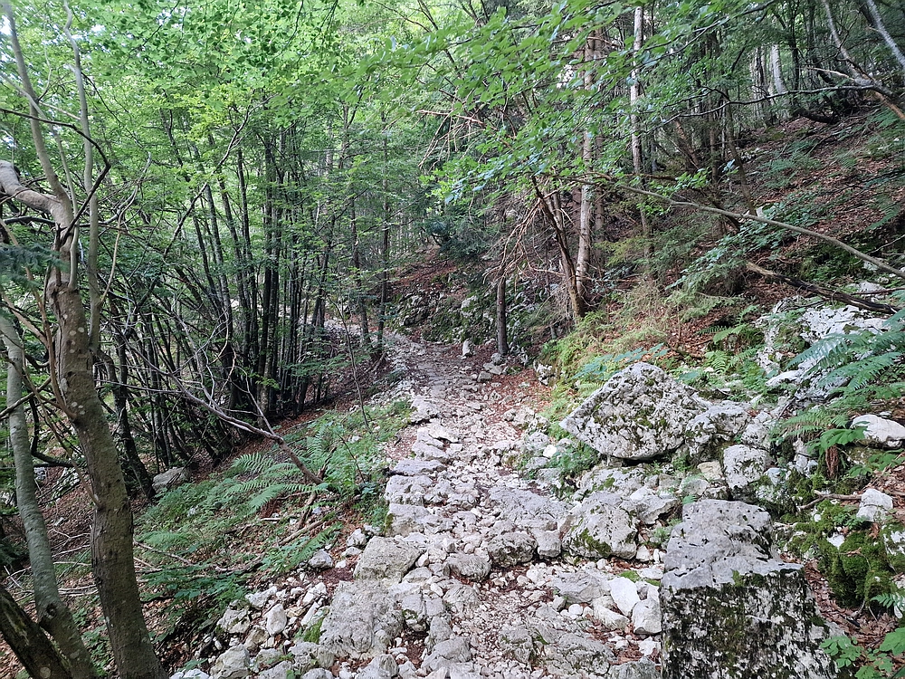 Slika je vidna v Google Chromu.