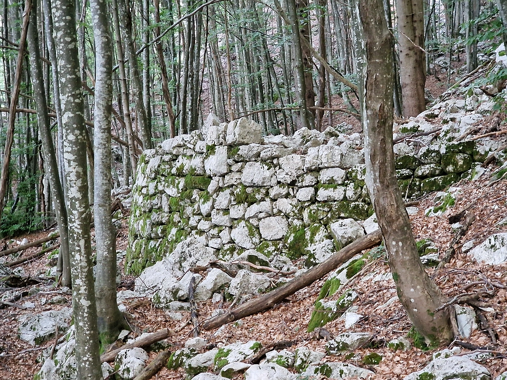 Slika je vidna v Google Chromu.