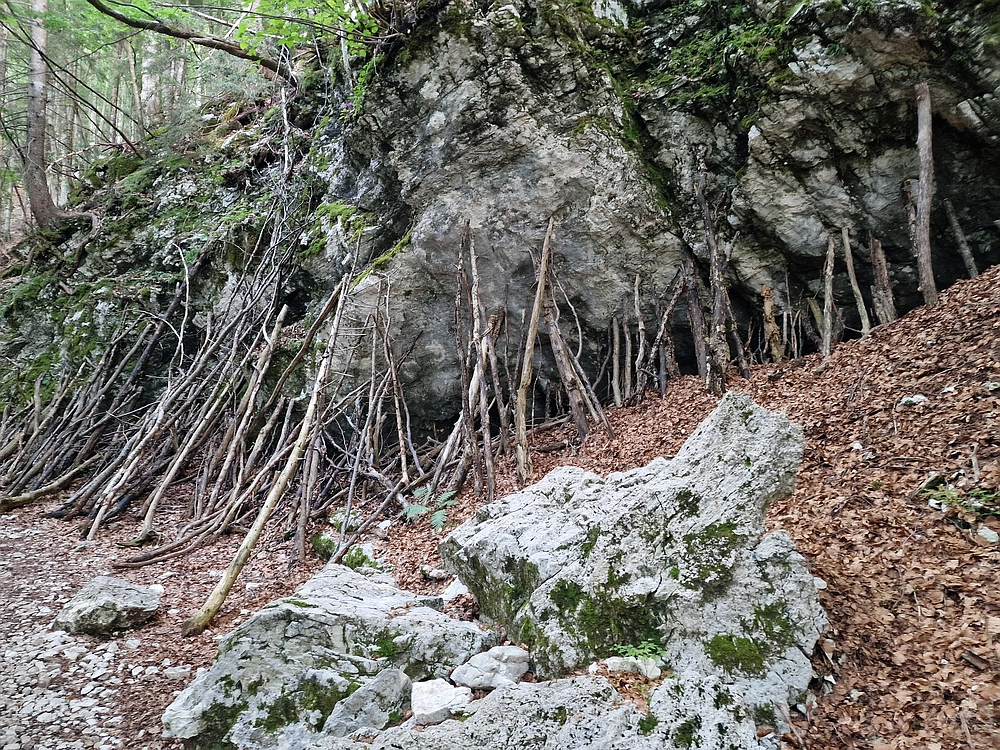 Slika je vidna v Google Chromu.