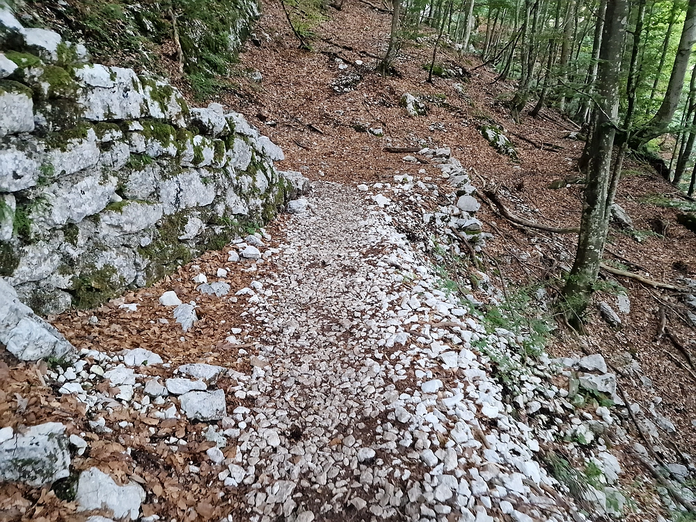 Slika je vidna v Google Chromu.