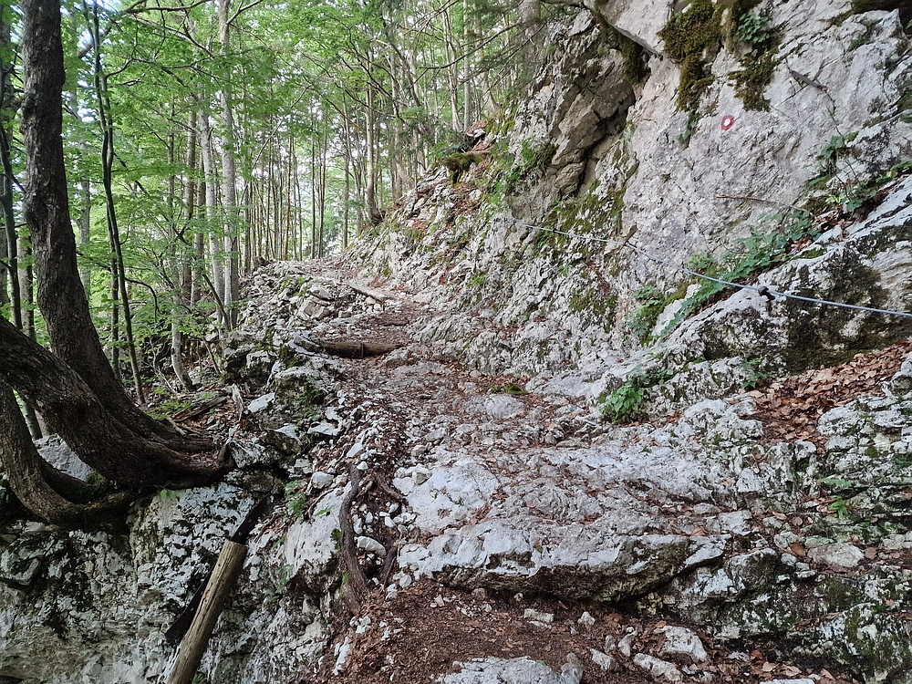 Slika je vidna v Google Chromu.