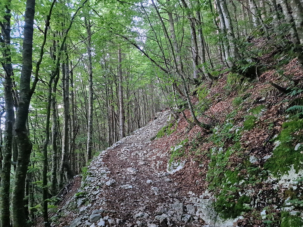 Slika je vidna v Google Chromu.