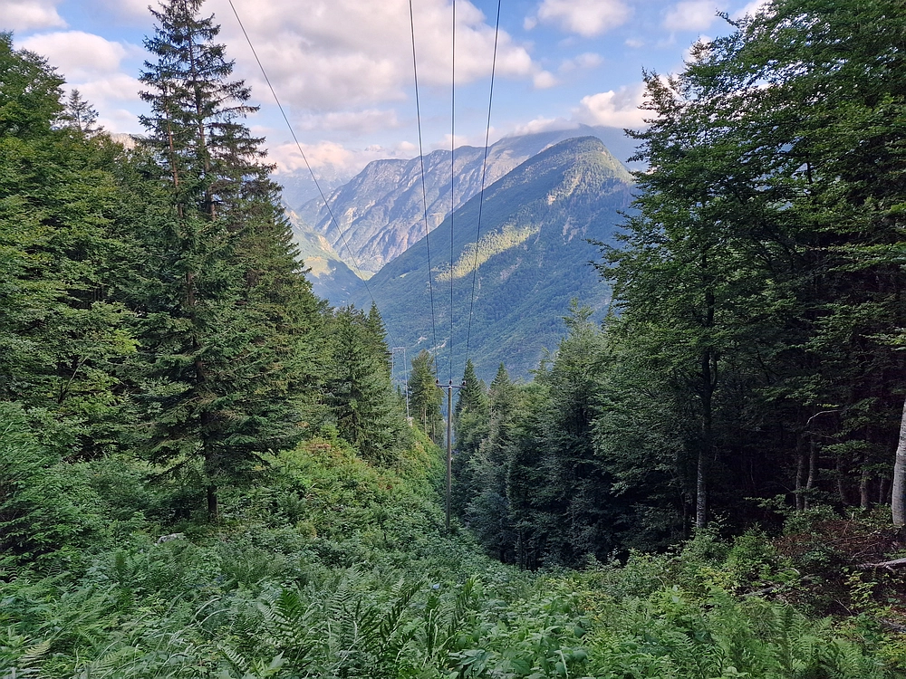 Slika je vidna v Google Chromu.