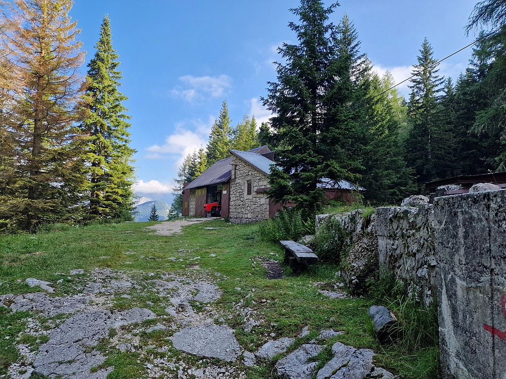 Slika je vidna v Google Chromu.