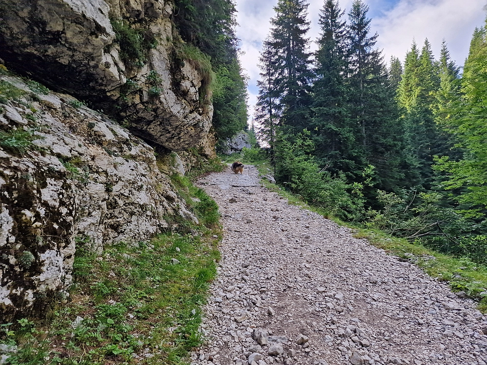 Slika je vidna v Google Chromu.