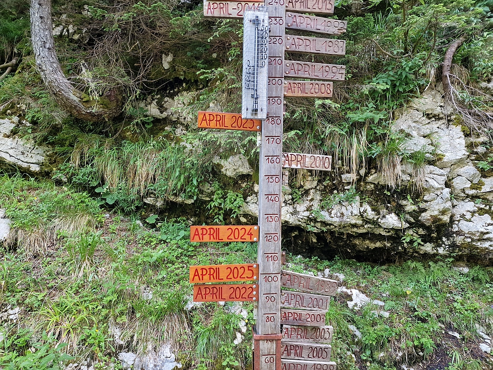 Slika je vidna v Google Chromu.