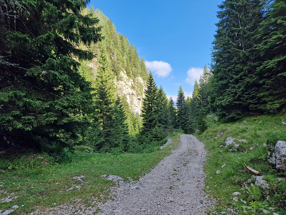 Slika je vidna v Google Chromu.