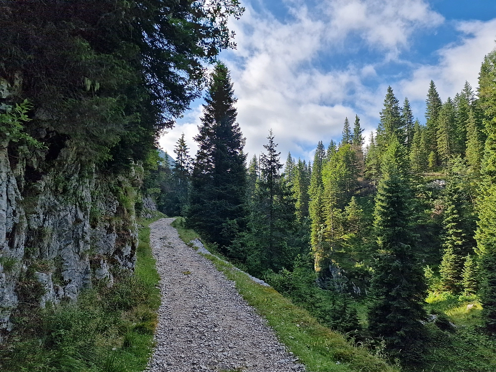 Slika je vidna v Google Chromu.