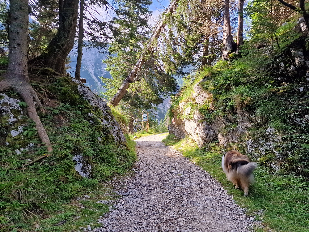 Slika je vidna v Google Chromu.