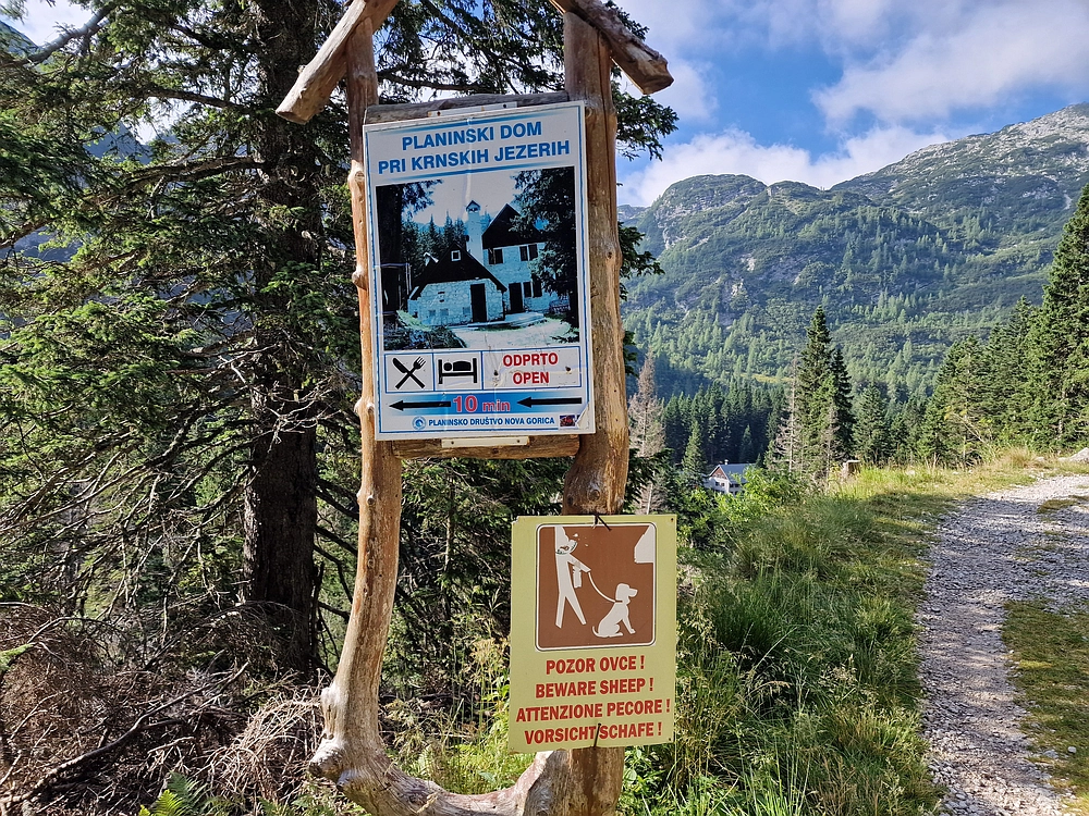 Slika je vidna v Google Chromu.