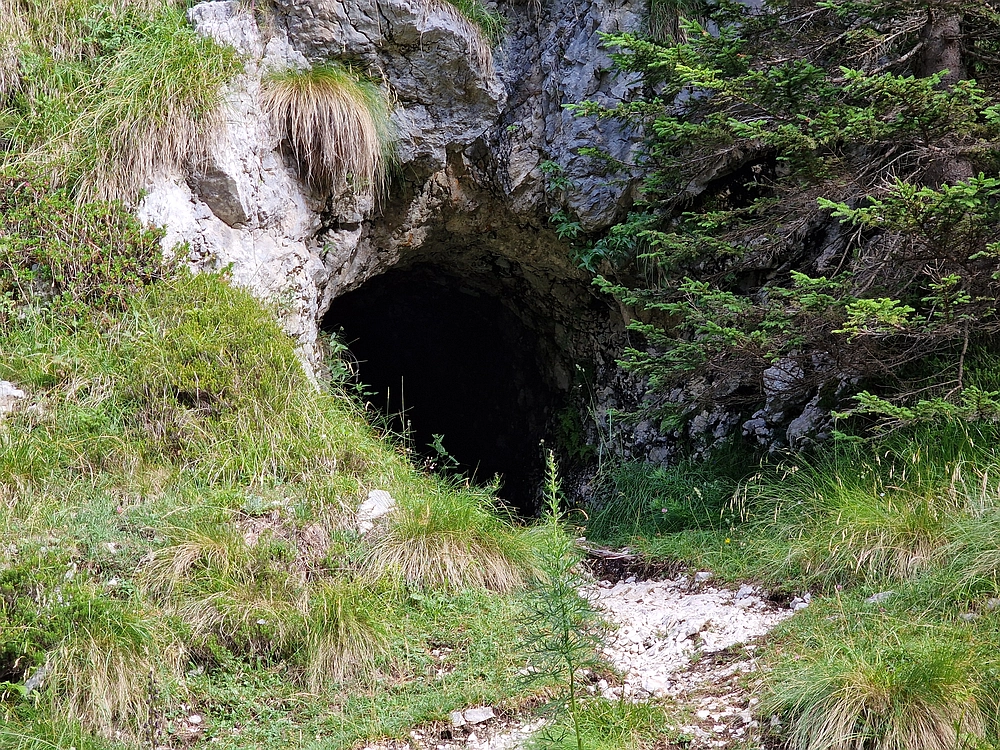 Slika je vidna v Google Chromu.