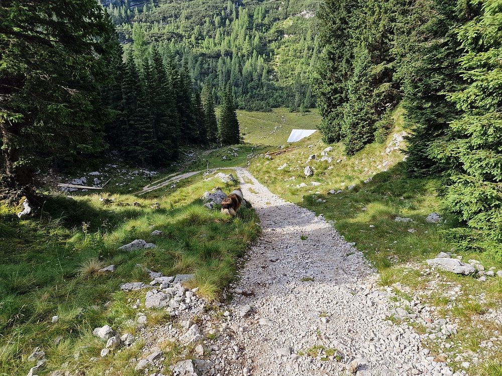 Slika je vidna v Google Chromu.