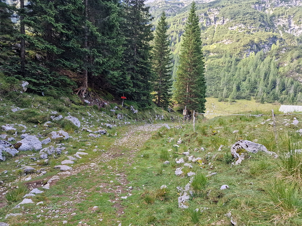Slika je vidna v Google Chromu.