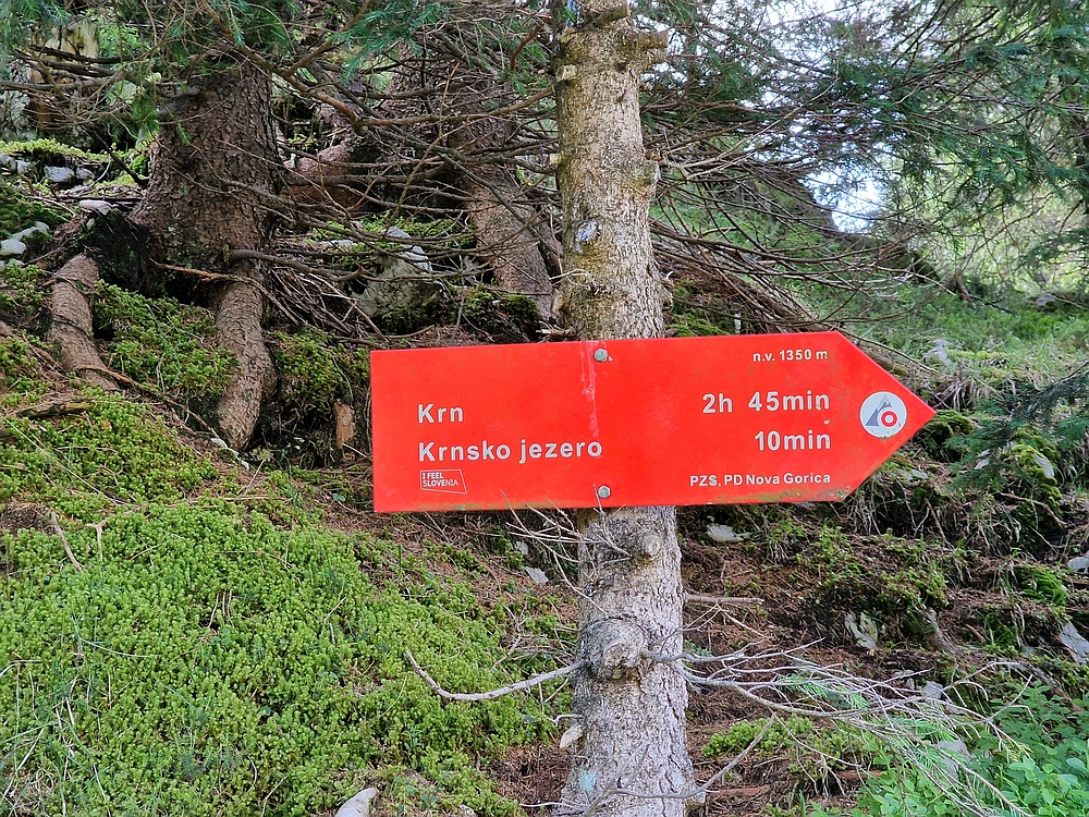 Slika je vidna v Google Chromu.