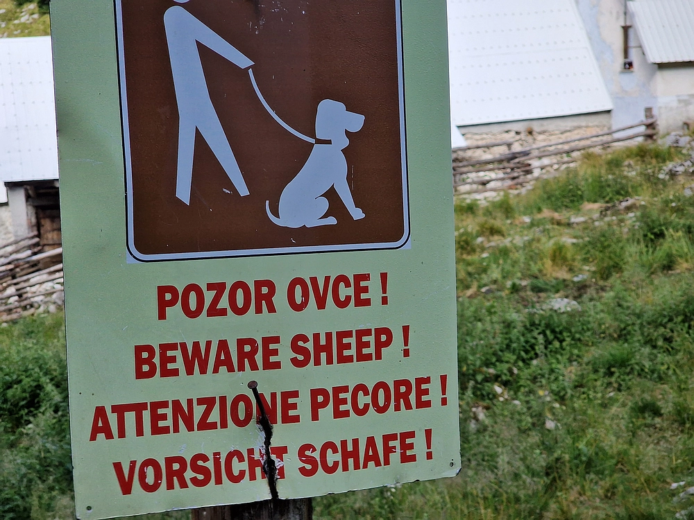 Slika je vidna v Google Chromu.