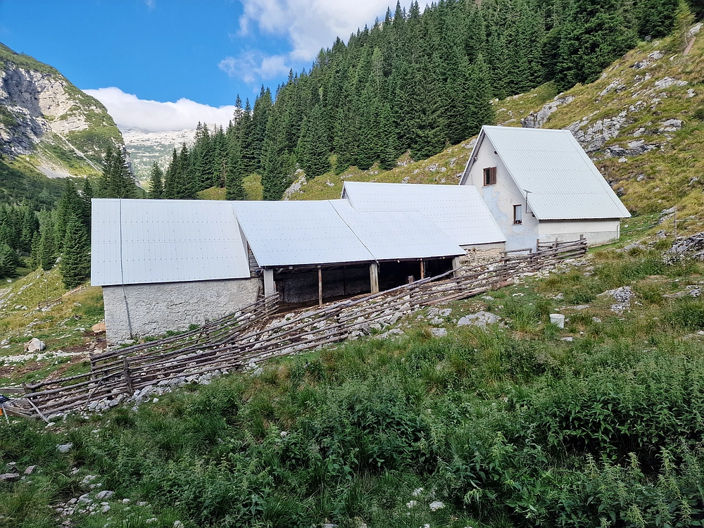 Slika je vidna v Google Chromu.