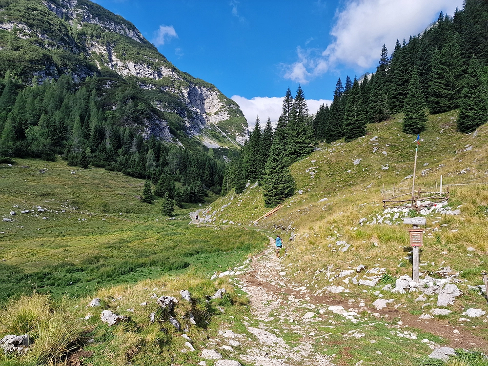 Slika je vidna v Google Chromu.