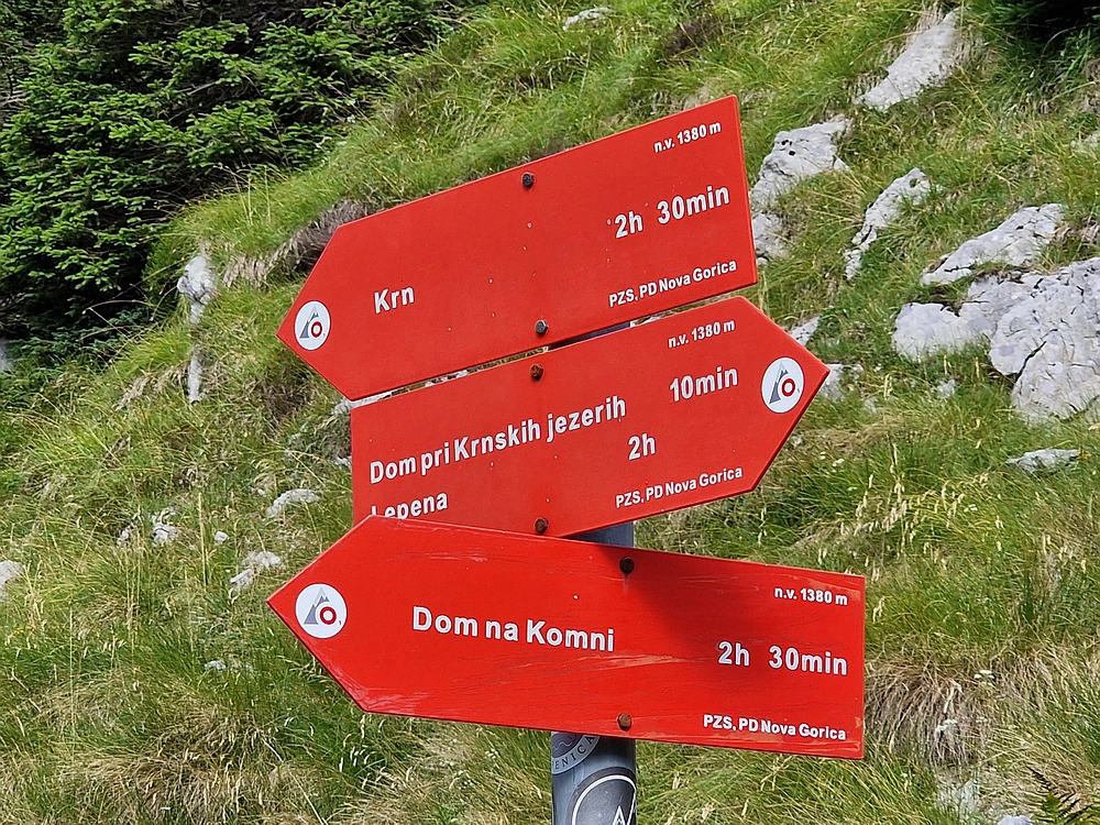 Slika je vidna v Google Chromu.