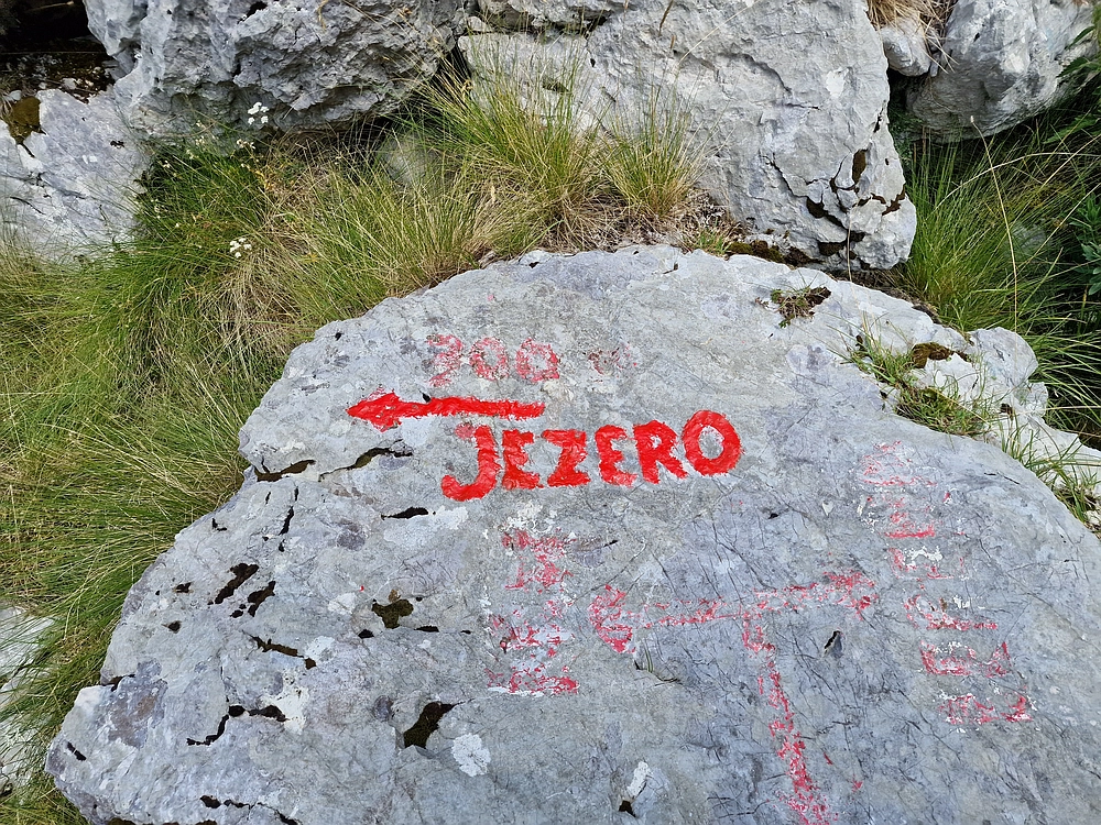 Slika je vidna v Google Chromu.