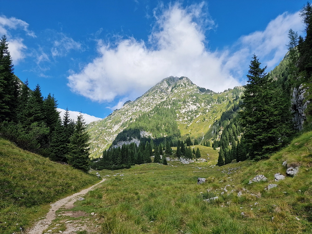 Slika je vidna v Google Chromu.