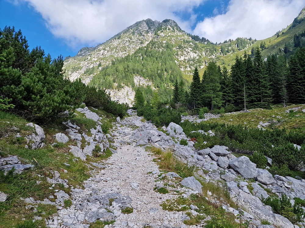 Slika je vidna v Google Chromu.