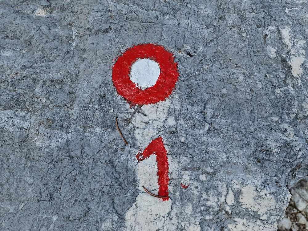 Slika je vidna v Google Chromu.