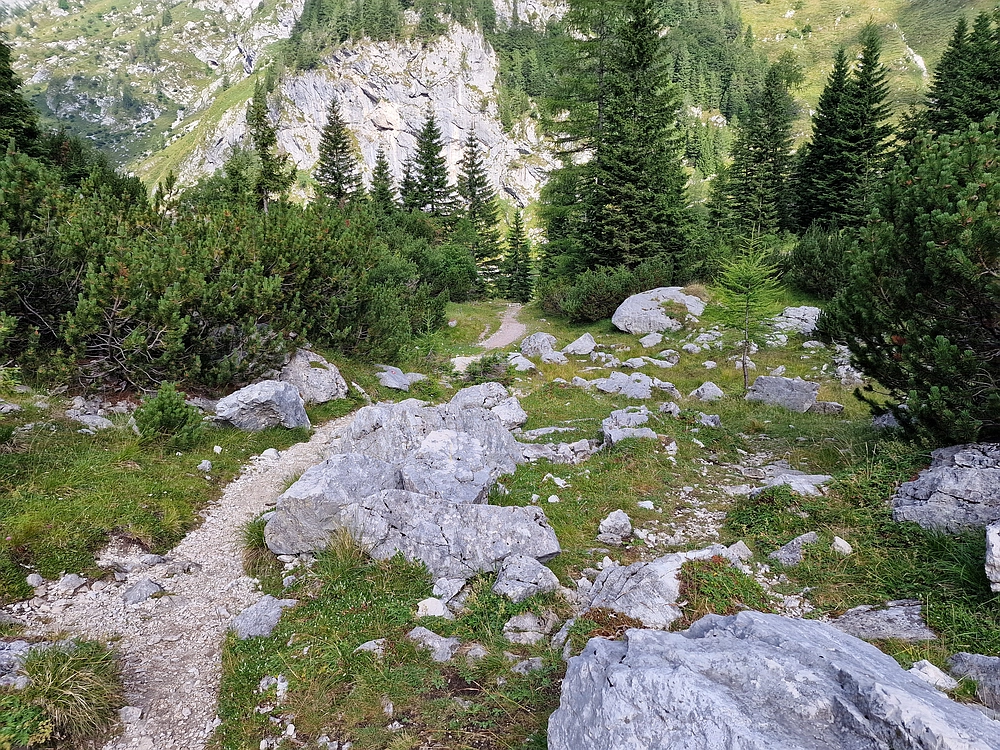 Slika je vidna v Google Chromu.