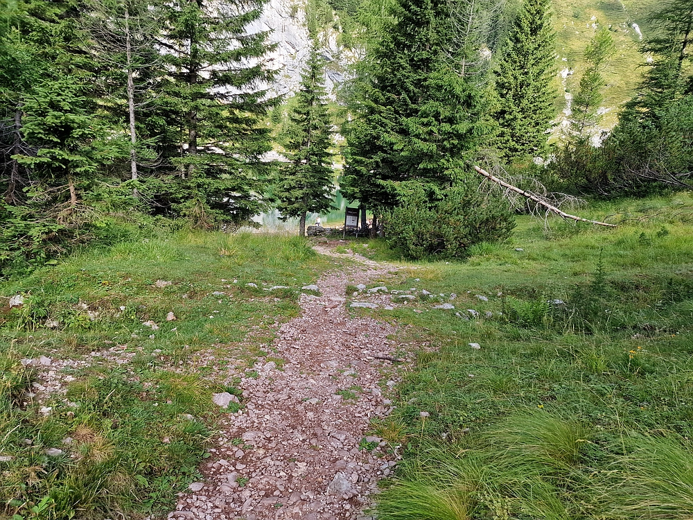 Slika je vidna v Google Chromu.